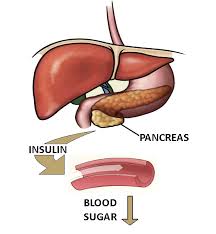 diabete-menopoz-eklenirs