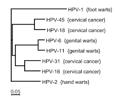hpv-testi-pap-smear-i-yeniyor-mu