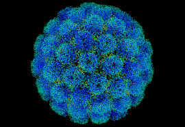 kanser-riski-yapabilen-virus-hpv