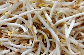 menopoz-tedavisinde-soya