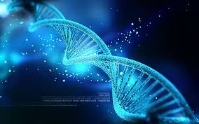 harmony prenatal test-2
